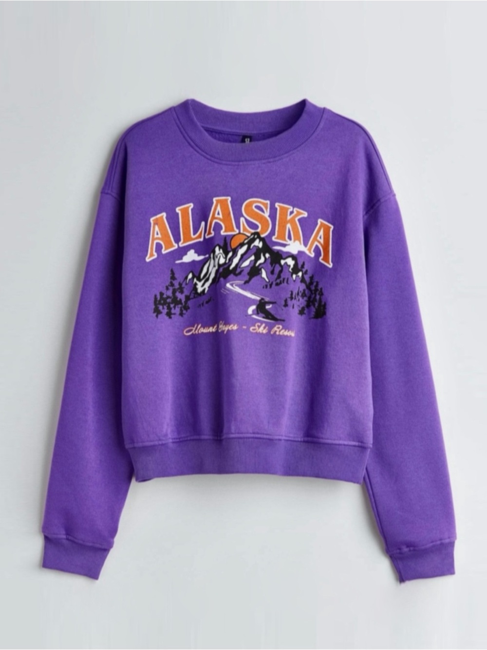 H&M Divided Alaska Mount Hayes Ski Resort Purple Graphic Crew Neck Sweatshirt